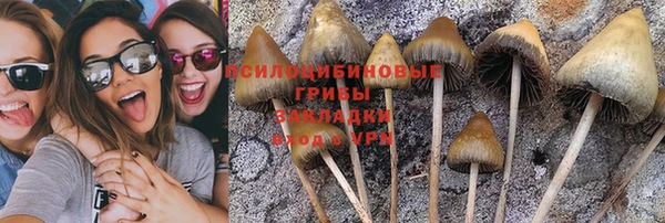 мдма Белокуриха