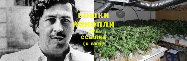 прущие крисы Балабаново